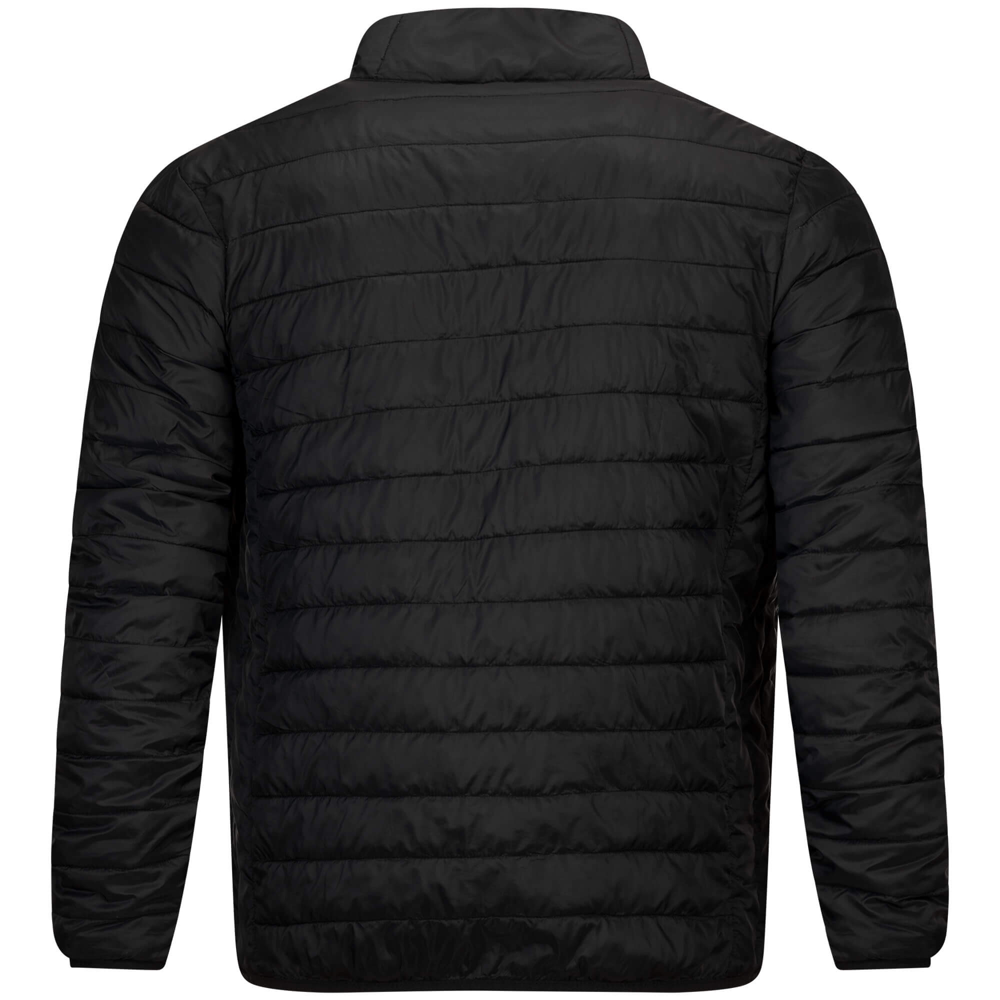 Rückansicht der ultraleichten Herren Jacke "Nangaparbat", in der Farbe Grün