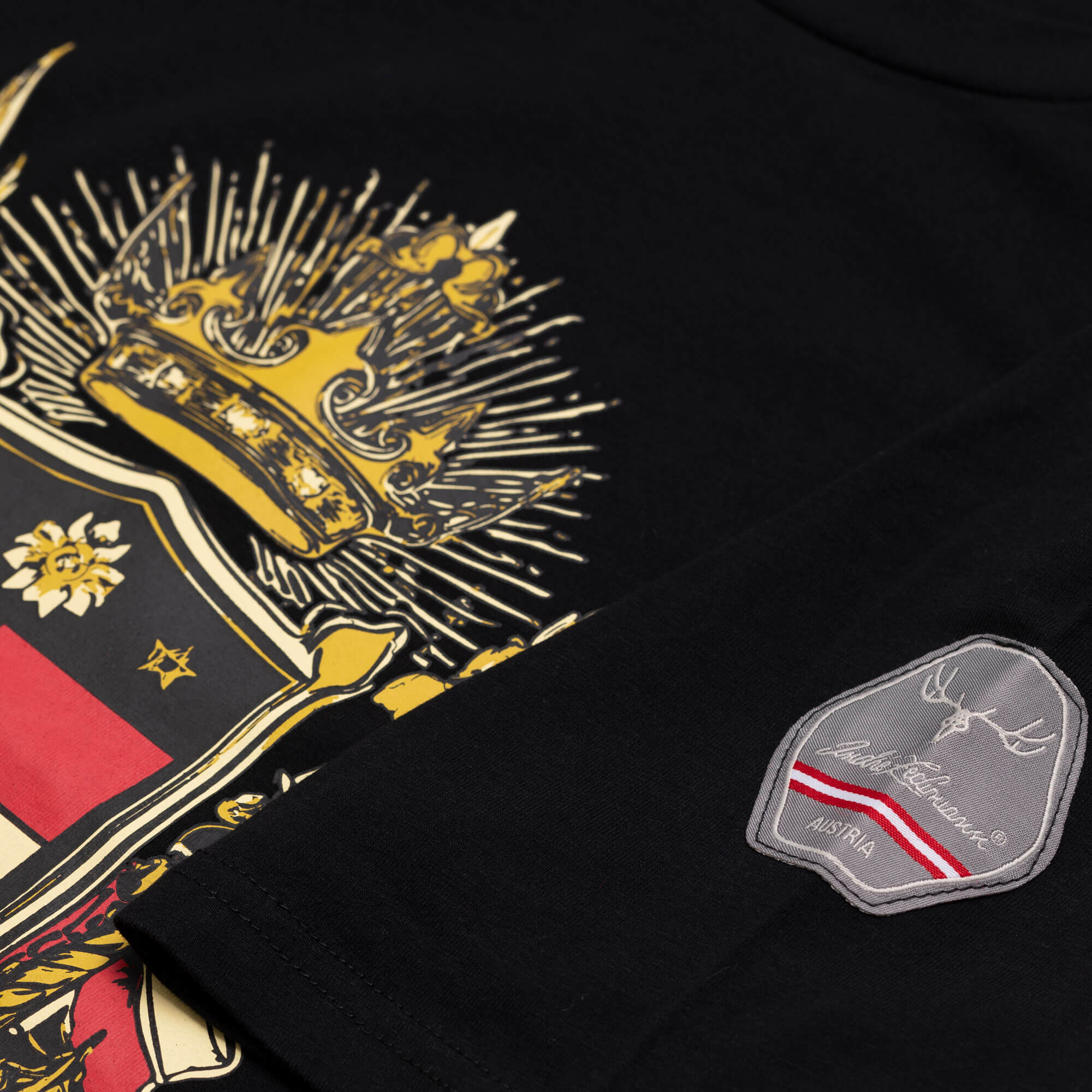 Detailansicht des Herren T-Shirt "Carinthia", in der Farbe Schwarz, mit großem Aufdruck und Ärmel Patch