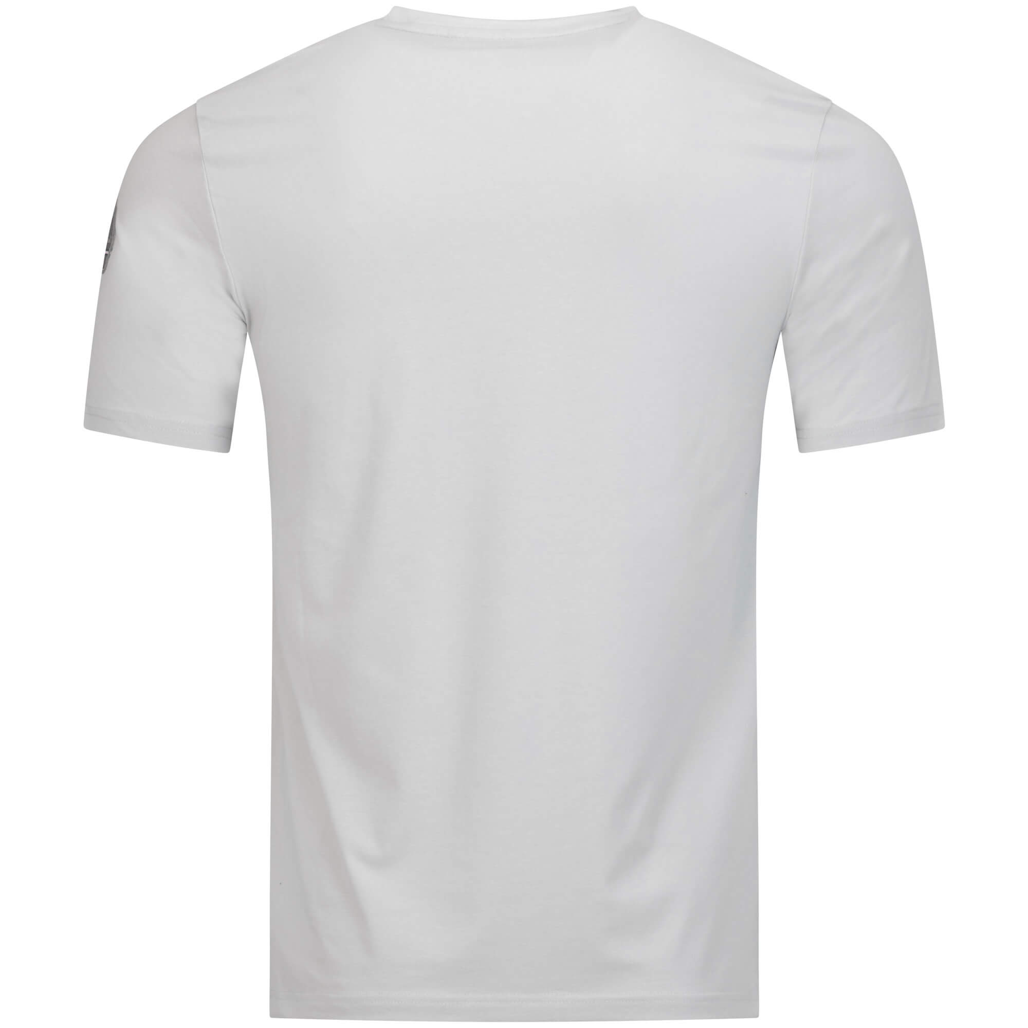 Rückansicht des Herren T-Shirt "Austria", in der Farbe Grau