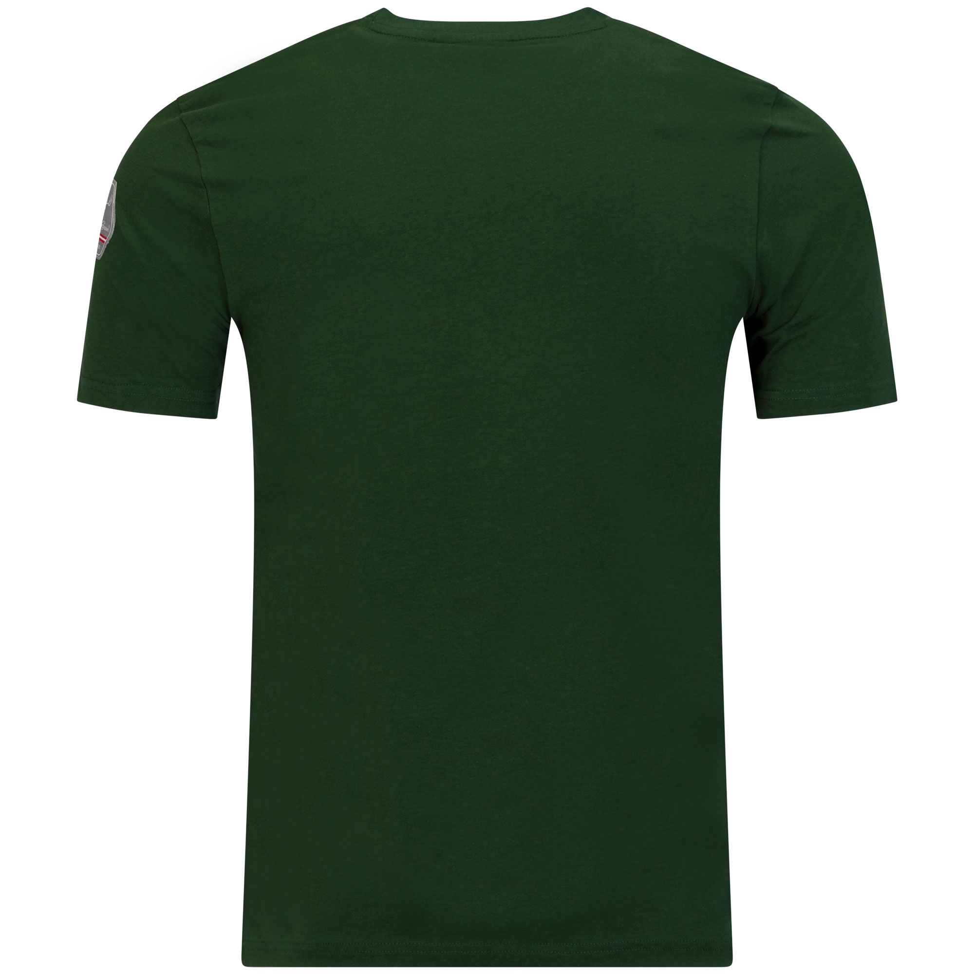 Rückansicht des Herren T-Shirt "Steiermark", in der Farbe Grün