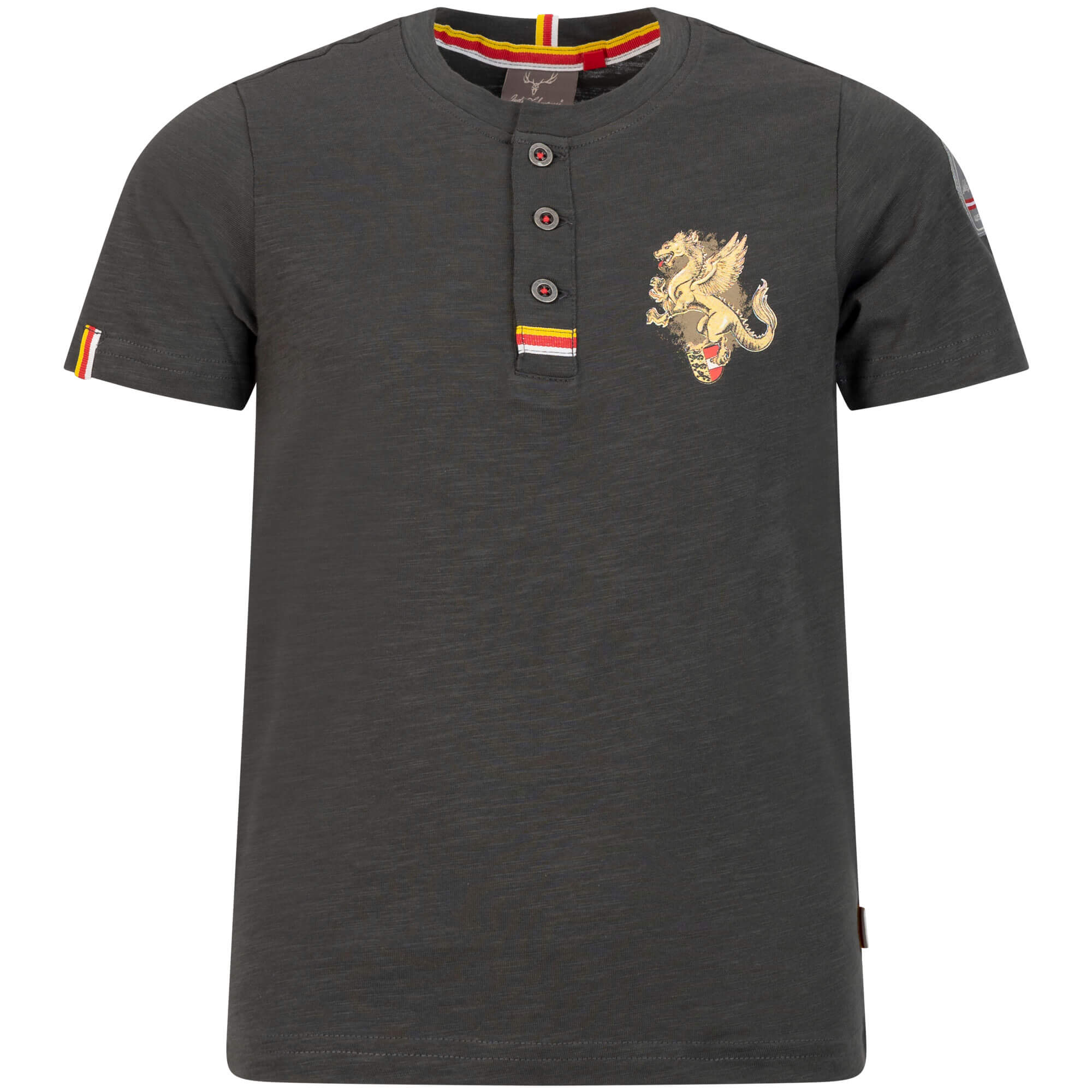 Vorderansicht des Kinder T-Shirt "Kärnten", in der Farbe Grau, mit kleinem Aufdruck