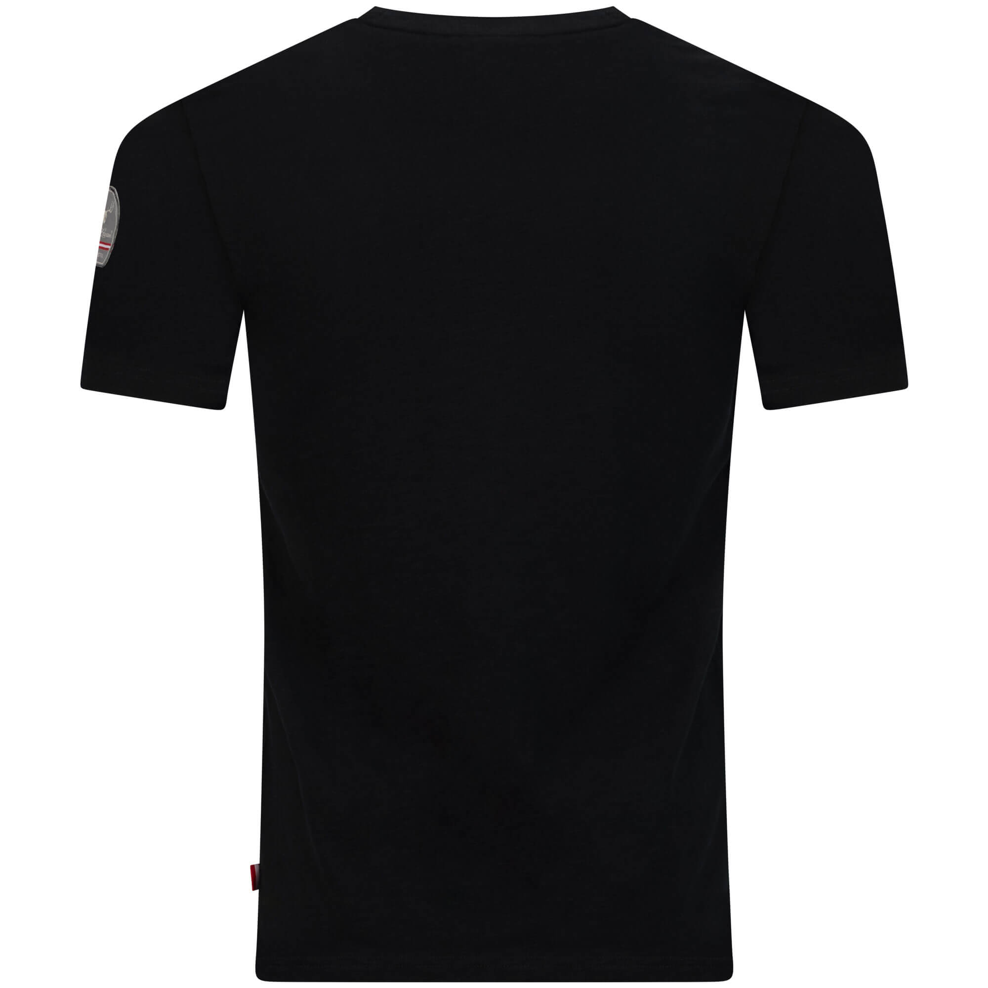 Rückansicht des Herren T-Shirt "Austria", in der Farbe Schwarz