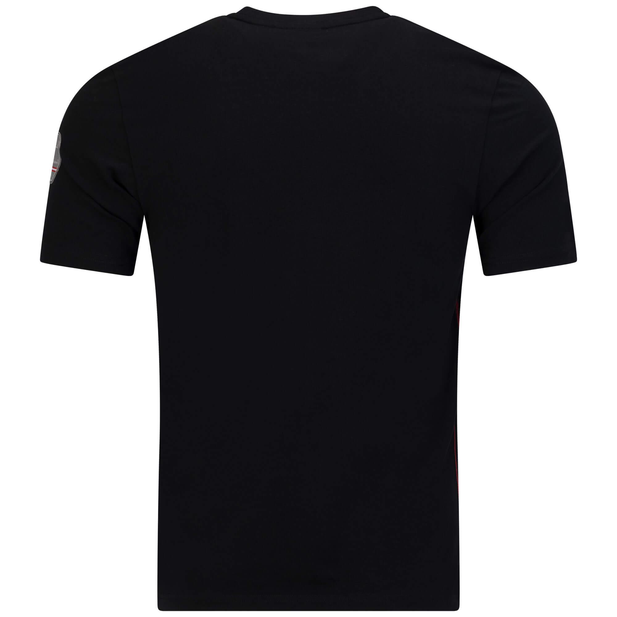 Rückansicht des Herren T-Shirt "Carinthia", in der Farbe Schwarz