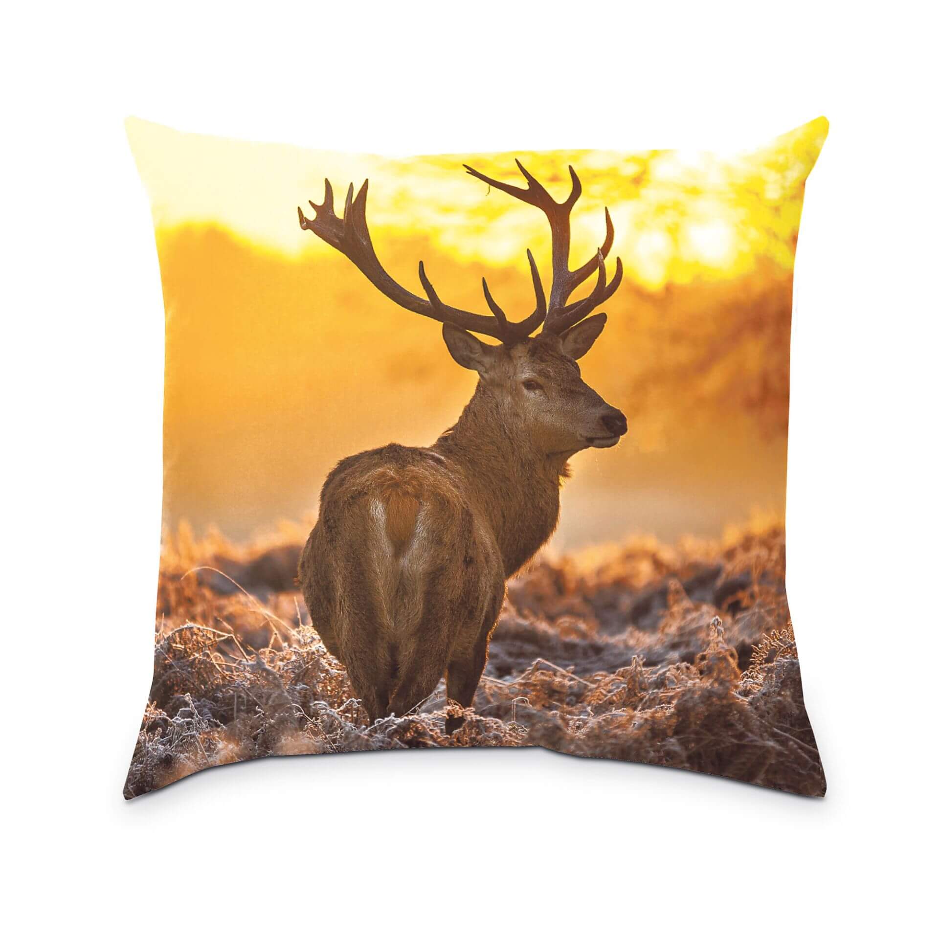 Erstaunlich Hirsch Kissen Depot Ebenbild